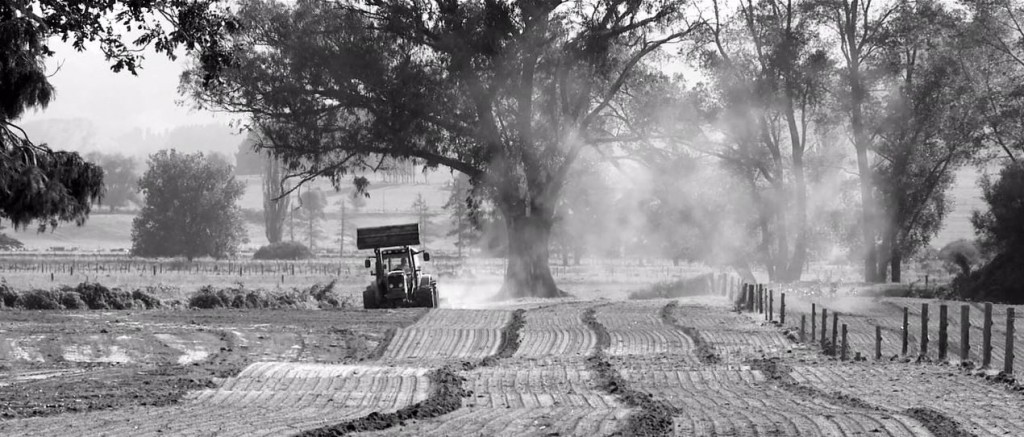 czarno białe zdjęcie traktora na nowozelandzkim polu; recenzja filmu Zdobyte pole