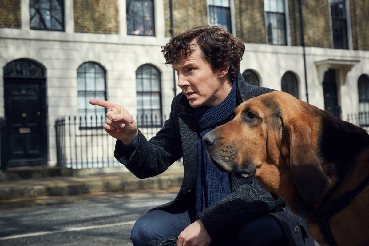 Benedict Cumberbatch i pies w Sherlock 4x01.